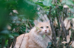 只有当网红才能吃饱,唯有成为网红，方能饱食无忧