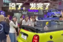 mini冰激淋小姐姐,甜蜜诱惑，夏日清凉新宠